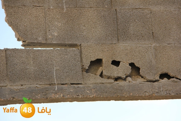 sakis family ard 826 (3).JPG